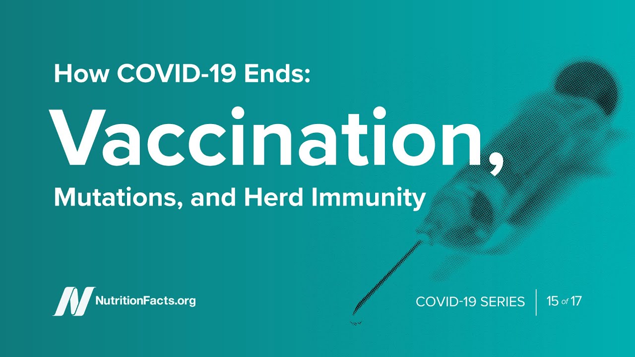 How COVID-19 Ends: Vaccination, Mutations, and Herd Immunity