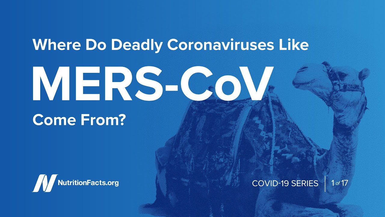 Where Do Deadly Coronaviruses Like MERS-CoV Come From?