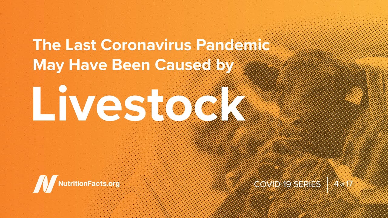The Last Coronavirus Pandemic May Have Been Caused by Livestock